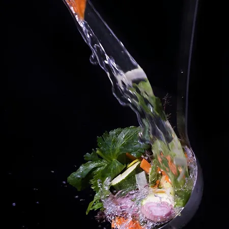 酒店 维尔弗洛姆伊酒店